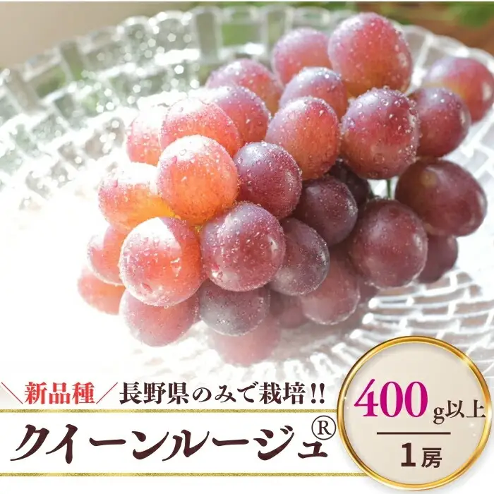【2026年先行予約】クイーンルージュ®︎  400g以上(1房)  | クイーンルージュ®︎