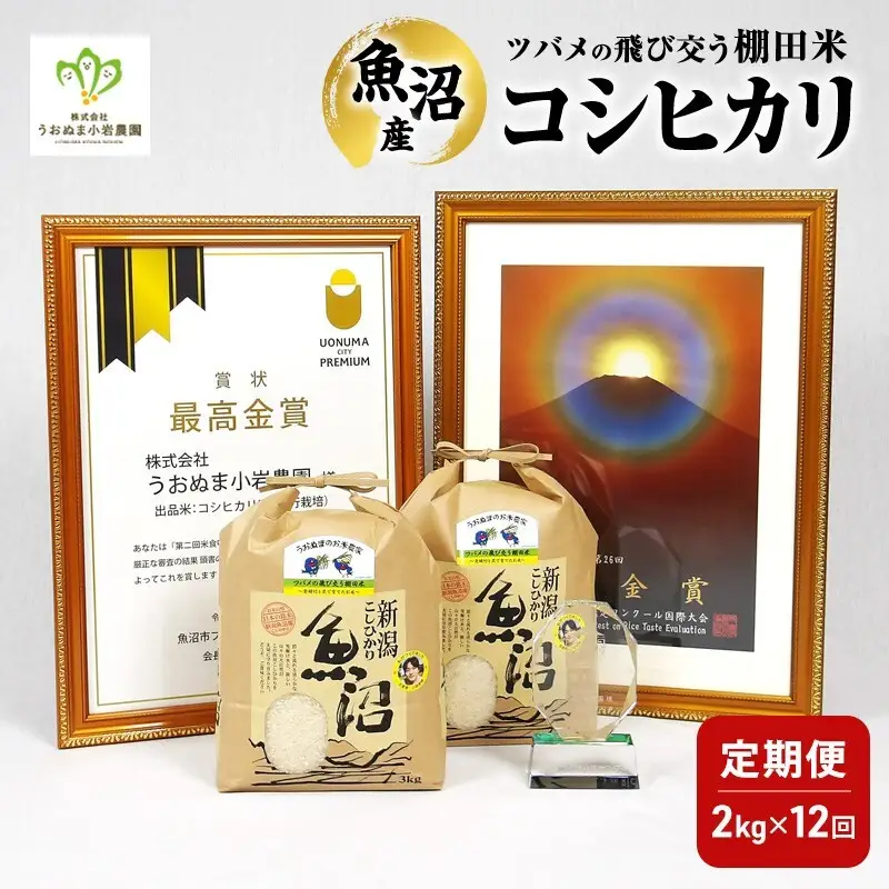 精米 ツバメの飛び交う棚田米 2kg×1袋 12ヵ月連続お届け　米 こめ お米 コメ こしひかり コシヒカリ 精米 新潟県 魚沼市 魚沼