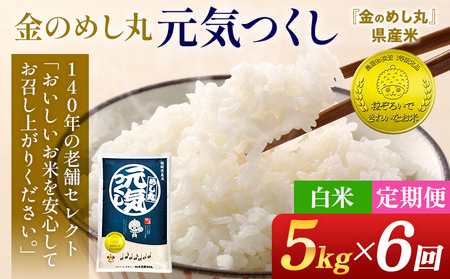 【6回定期便】 令和8年産 白米 金のめし丸 元気つくし 5kg 定期便 半年 福岡 お米 米 ごはん ご飯 お弁当 おにぎり 金のめし丸県産米 福岡ブランド米 めし丸 ライス rice 飯