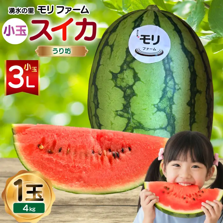 AJ460 【令和9年度出荷分】 湧水の里 モリファーム 小玉スイカ うり坊 3L 4kg 1玉