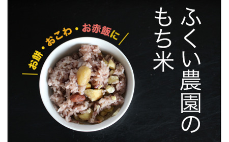 令和8年産 もち米 15kg 白米 もち米