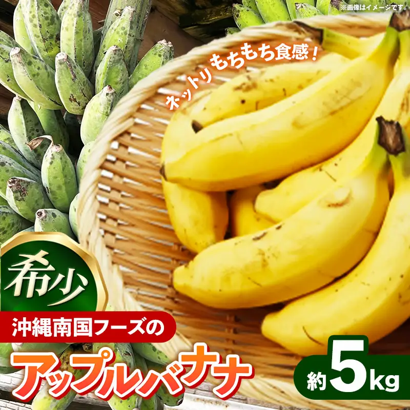  国産 希少種！南国フーズのアップルバナナ 約5kg - ばなな 小ぶり 沖縄県産 産地直送 朝食 おすすめ 八重瀬町【価格改定】