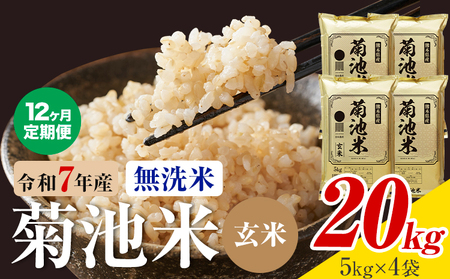 【12ヶ月定期便】熊本県産 菊池米 玄米 無洗米 20kg 1袋5kg 米 お米 令和7年産 九州産 熊本県産 送料無料《お申込み翌月に出荷予定》玄米 米