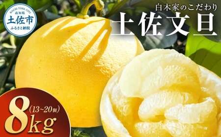 【先行予約】白木家のこだわり土佐文旦 露地 文旦 約8kg 13~20個入り L~3Lサイズ混合 〈2027年2月上旬〜3月上旬頃発送〉ぶんたん ブンタン 果物 柑橘 フルーツ お取り寄せ 特産品 美味しい 高知県産 ギフト【株式会社とさもん】[BQAE041]