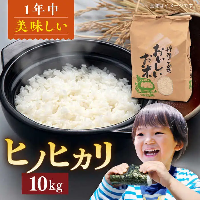 糸島産 ヒノヒカリ 10kg 糸島市 / 平山農園 米 白米 米 白米 ご飯 お米 10kg[AXN006]