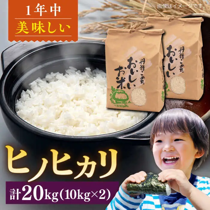 糸島産 ヒノヒカリ 20kg 糸島市 / 平山農園 米 白米 米 白米 ご飯 お米 20kg[AXN007]