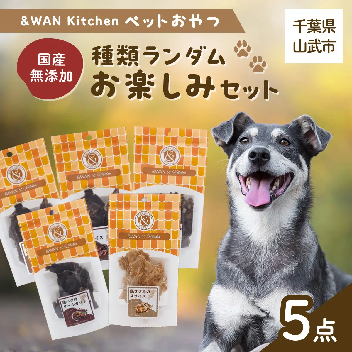 ＆WAN Kitchenペットおやつセット（内容お楽しみセット）（肉・内蔵系ジャーキー×3種、骨系ジャーキー×2種） SMU021