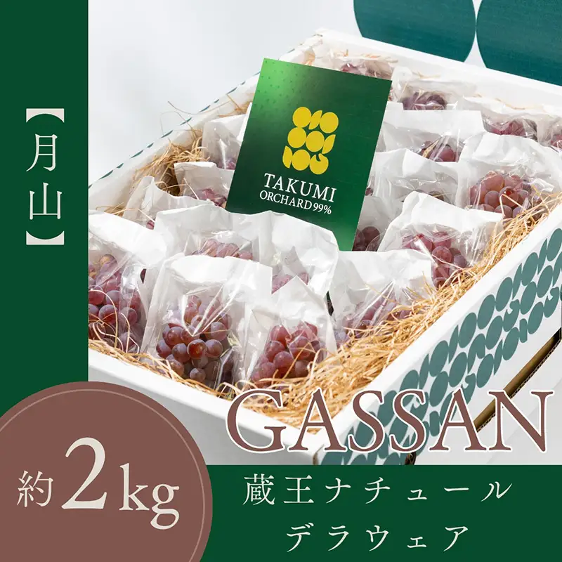 【月山 GASSAN】蔵王ナチュールデラウェア 山形のデラウエア TAKUMI ORCHARD 99% 贈答 L以上 約2kg 山形 山形県 山形市 フルーツ 果物 くだもの 送料無料 ぶどう 葡萄 ブドウ デラウェア 減農薬【令和8年産先行予約】FS25-118