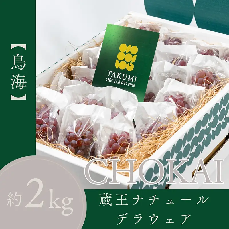 【鳥海 CHOKAI】蔵王ナチュールデラウェア 山形のデラウエア TAKUMI ORCHARD 99% ご家庭 M以上房サイズ混合 約2kg 山形 山形県 山形市 フルーツ 果物 くだもの 送料無料 ぶどう 葡萄 ブドウ デラウェア 減農薬【令和8年産先行予約】FS25-120