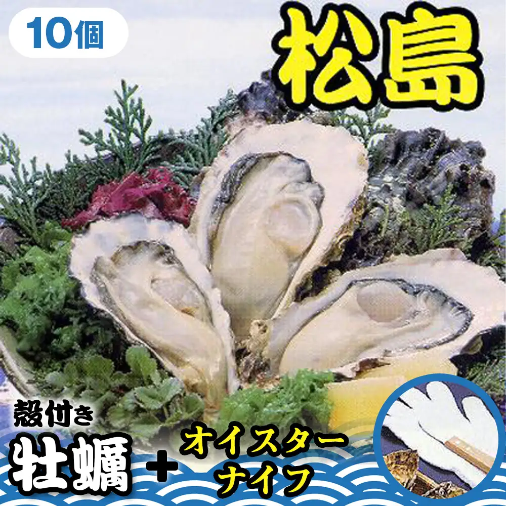 殻付き牡蠣10個＋オイスターナイフ ／ カキ 貝 殻付き 松島湾 海産物 牡蠣セット オイスターナイフ 新鮮 宮城県 特産品 No.175