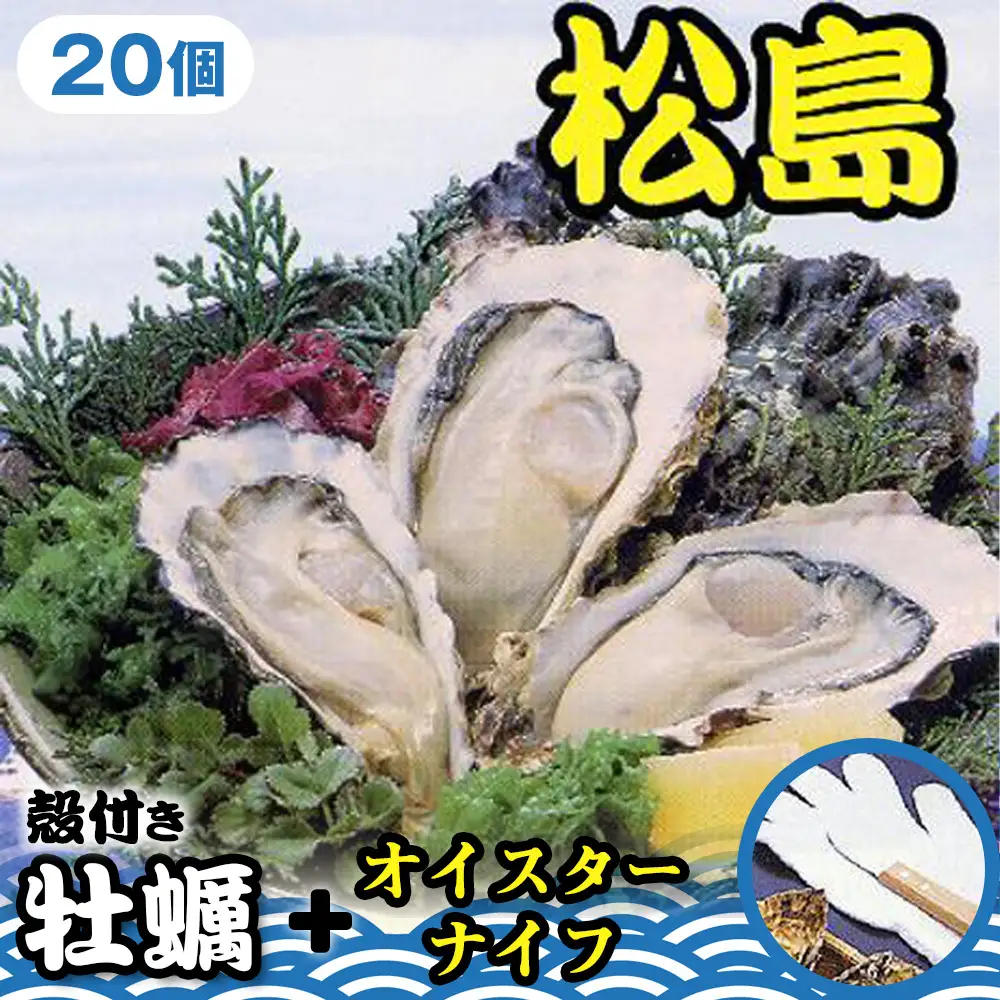 殻付き牡蠣20個＋オイスターナイフ ／ カキ 貝 殻付き 松島湾 海産物 牡蠣セット オイスターナイフ 新鮮 宮城県 特産品 No.181