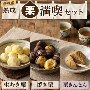 【 吉原農場 の 完熟栗 】熟成 栗 満喫 セット ( 栗の深雫 プレーン 6個入り )