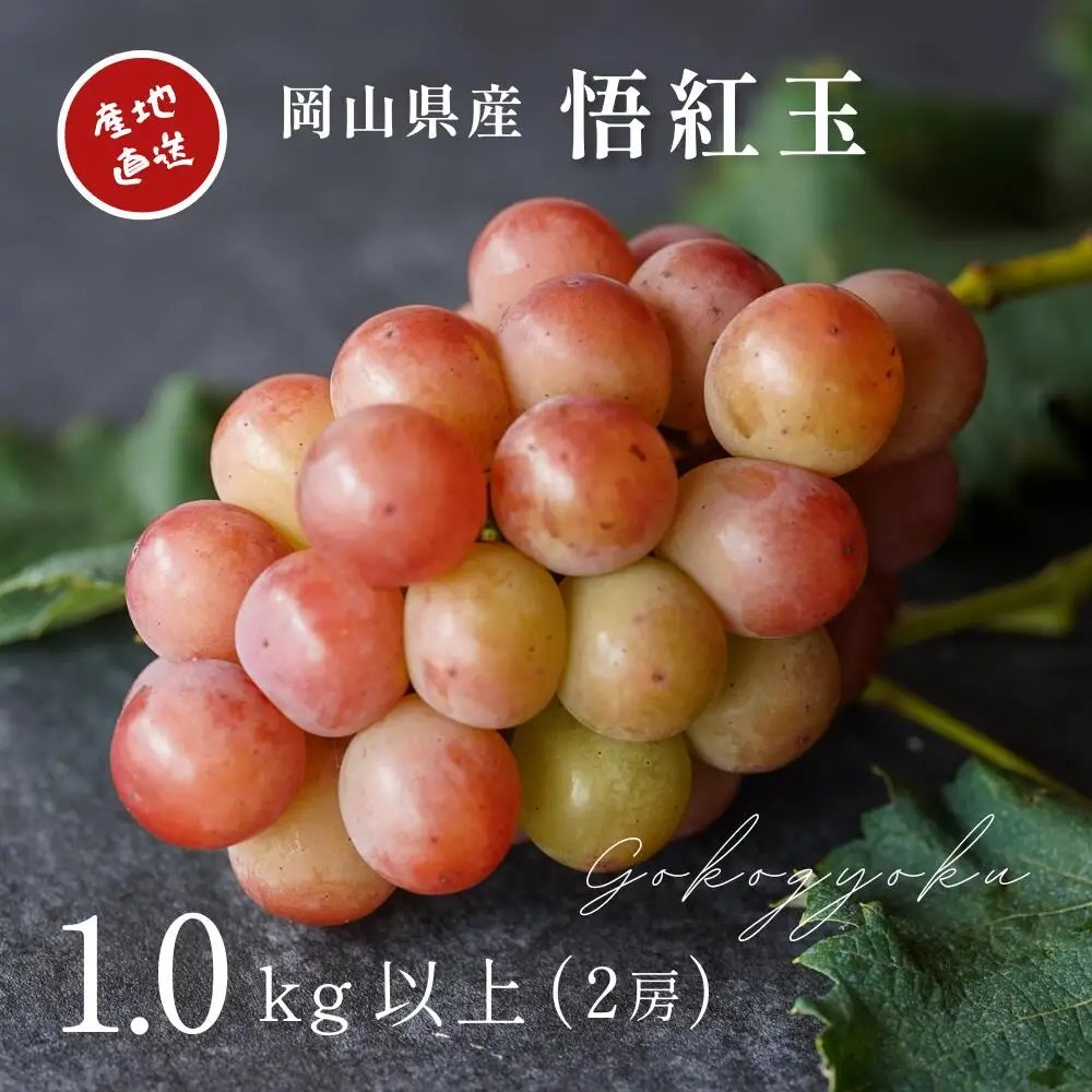 ぶどう 岡山県産 厳選ぶどう悟紅玉1kg以上2房  【kgftmt006-02】