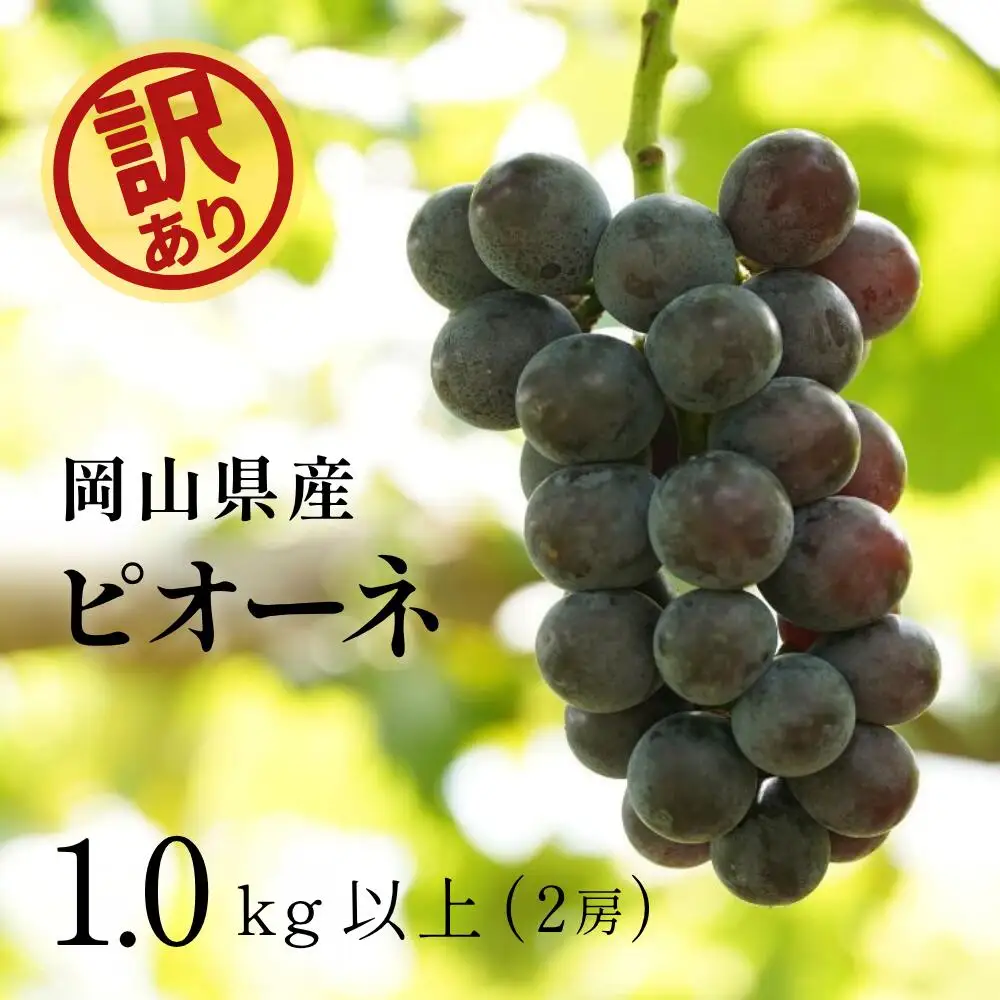 【訳あり】 ピオーネ 岡山県産ぶどう 訳ありピオーネ1.0kg以上（2房） 【kgftmt017-02】