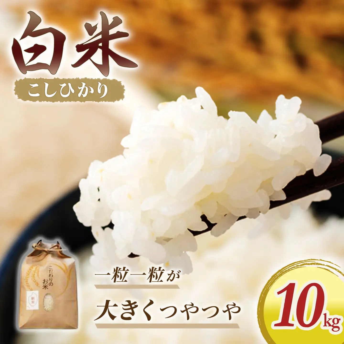 米 こしひかり10kg ykj02