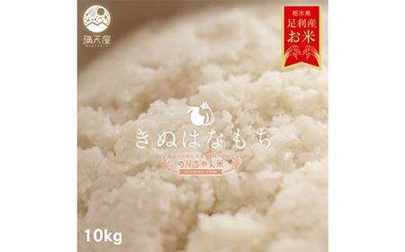 令和7年 足利市産 のりちゃん米 もち米 (きぬはなもち) 10kg＜栽培期間中 農薬・肥料不使用＞ 餅 もち 米 こめ 食品 農家 限定 2025年 年末 正月 新年 贈答 贈り物 ギフト プレゼント 家庭 自宅 栃木県 足利市 F7Z-1722