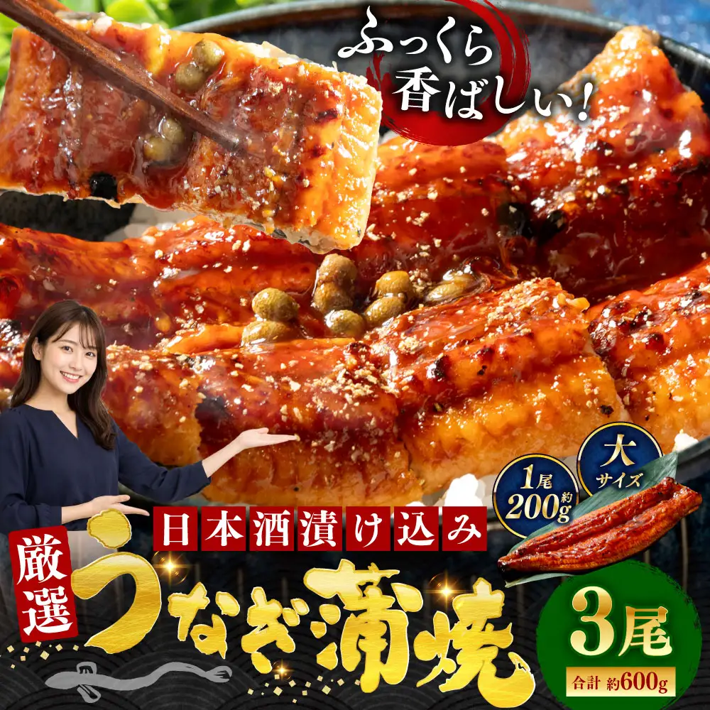 うなぎ蒲焼 200g×3尾セット 職人 手焼き 真空 冷凍 北海道 ウナギ 鰻 かばやき