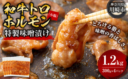 ＜訳アリ＞和牛トロホルモン　特製味噌漬け　1.2kg(300g×4）【2026年9月発送】