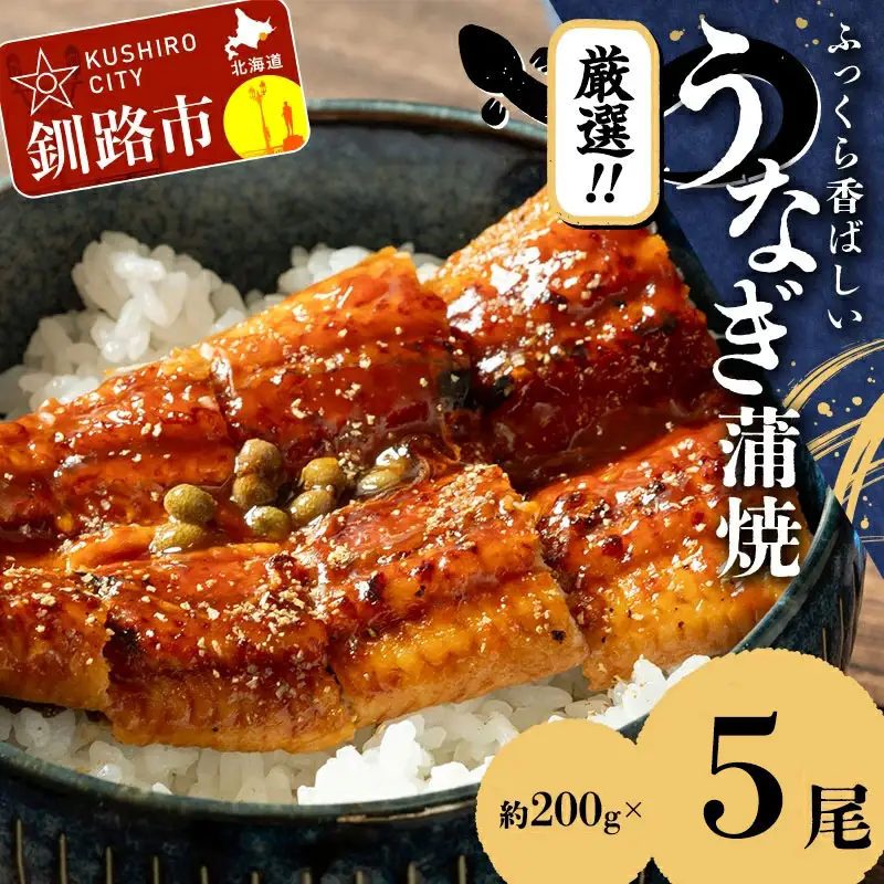 うなぎ蒲焼 200g×5尾セット 職人 手焼き 真空 冷凍 北海道 ウナギ 鰻 かばやき