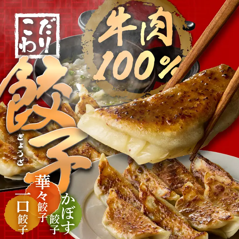 華永餃子セットF（かぼす×2、一口×1、華々×1） 計62個 A07008