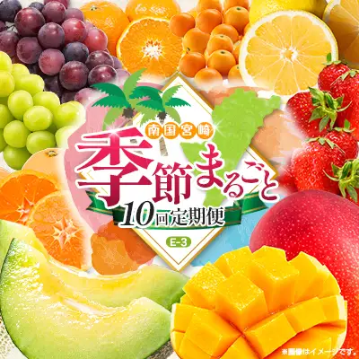 【10回定期便】旬 人気 フルーツ 南国宮崎産 マンゴー 金柑たまたま シャインマスカット ピオーネ いちご みかん 日向夏 メロン 柑橘 きんかん ぶどう 果物 詰め合わせ 宮崎県 九州＜E-3コース M700＞
