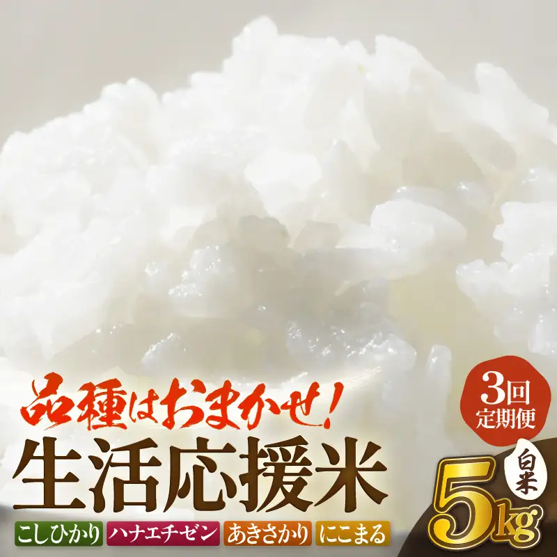 【先行予約】定期便 ≪3ヶ月≫令和8年産 生活応援米5kg × 3回【白米】【10月中旬以降】 [e81-b002_01]