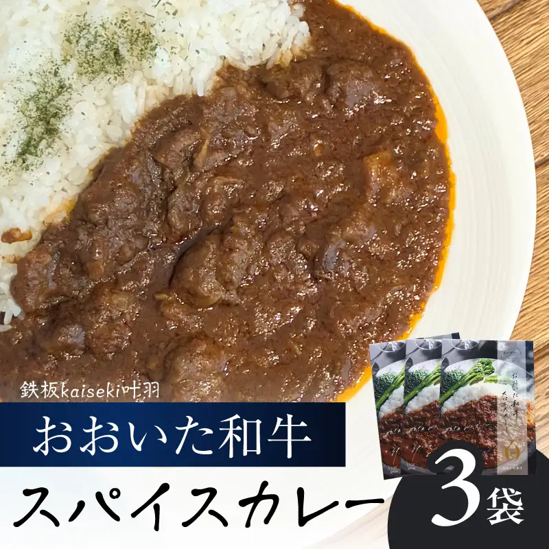 おおいた和牛 スパイスカレー 3袋 K03038
