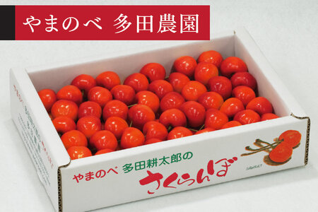 《先行予約》2027年産 山形県産 紅秀峰 バラ詰め 約700g L~2Lサイズ以上 やまのべ多田耕太郎のさくらんぼ サクランボ tn-bsxlb700