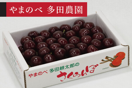《先行予約》2027年産 山形県産 サミット バラ詰め 約700g やまのべ多田耕太郎のさくらんぼ サクランボ tn-smx2b700