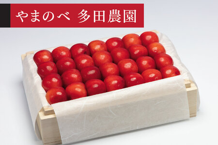 《先行予約》2027年産 山形県産 特選やまがた紅王 桐箱詰約500g やまのべ多田耕太郎のさくらんぼ tn-ybxxk500