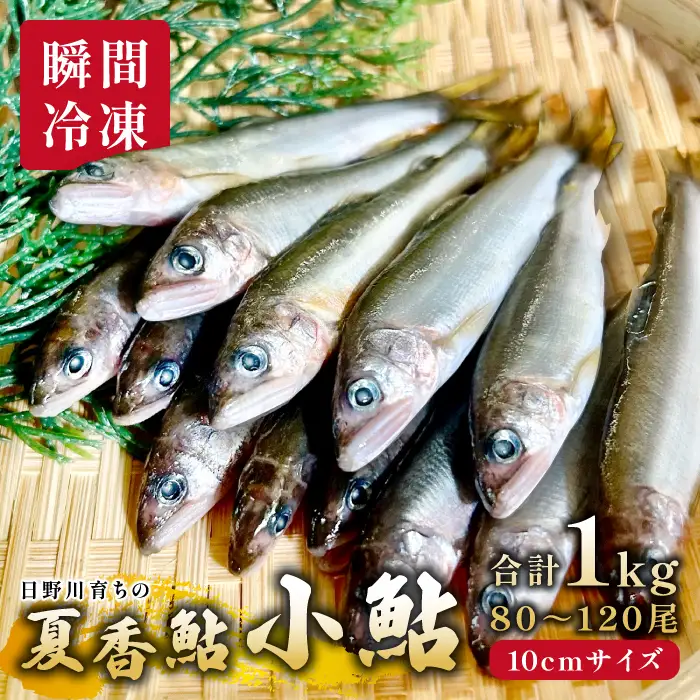 日野川育ちの「夏香鮎」小鮎（約10㎝）瞬間冷凍 1kg【鮎 冷凍 1kg 国産 アユ あゆ 魚 魚介 海鮮 養殖 川魚 塩焼き 甘露煮 煮凝り 素揚げ 天ぷら 鳥取県 日吉津村 日野川 日本海】