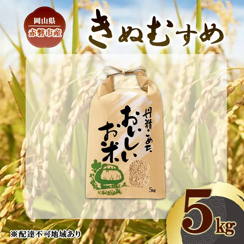 きぬむすめ 玄米 晴れの国 岡山県産 きぬむすめ【5kg】【令和7年】