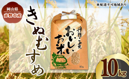 きぬむすめ 玄米 晴れの国 岡山県産 きぬむすめ 米 【10kg】【令和7年】