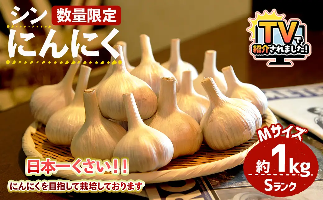 ＼テレビで紹介されました！／＜7月上旬～9月中旬発送予定＞＜数量限定＞シン・にんにく(Sランク・Mサイズ約1kg) 国産 大阪 箕面 シンニンニク 乾燥ニンニク ガーリック 常温 野菜 香味野菜 料理 新登場 【m102-01】【トラキチ】