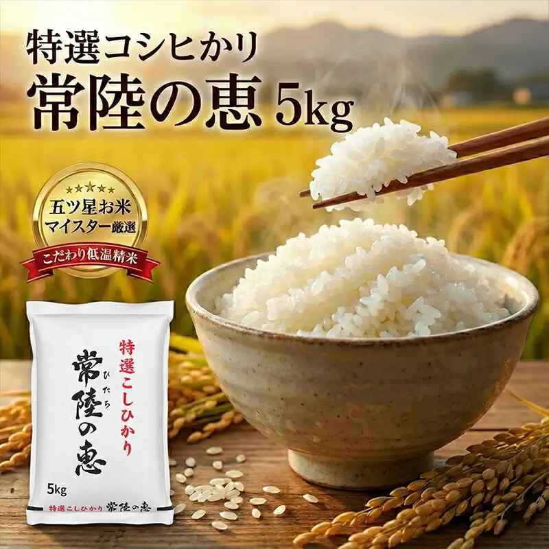 【令和７年産】特選こしひかり　「常陸の恵」５kg 【 お米 五ツ星 お米マイスター HACCP 取得 低温精米 高品質 ご飯 美味しい米 ブランド米 特産物 あさや米穀 茨城県 日立市 】