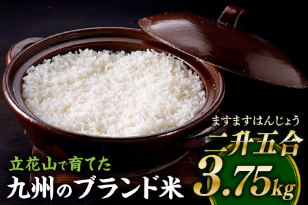 AA444.【期間限定】立花山で育てた九州のブランド米・3.75キロ【二升五合（ますますはんじょう）】