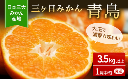 【2026年1月中旬頃より順次発送】三ヶ日みかん 青島 3.5kg以上 みかん ミカン 蜜柑 青島みかん 三ヶ日 果物 くだもの フルーツ 旬の果物 旬のフルーツ 柑橘 柑橘類 糖度 静岡 浜松市【配送不可：離島】
