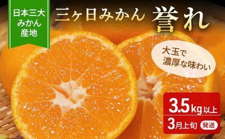 【2027年3月上旬頃より順次発送】三ヶ日みかん 誉れ 青秀 2L 3.5kg みかん ミカン 蜜柑 誉れみかん 三ヶ日 果物 くだもの フルーツ 旬の果物 旬のフルーツ 柑橘 柑橘類 糖度 静岡 浜松市【配送不可：離島】