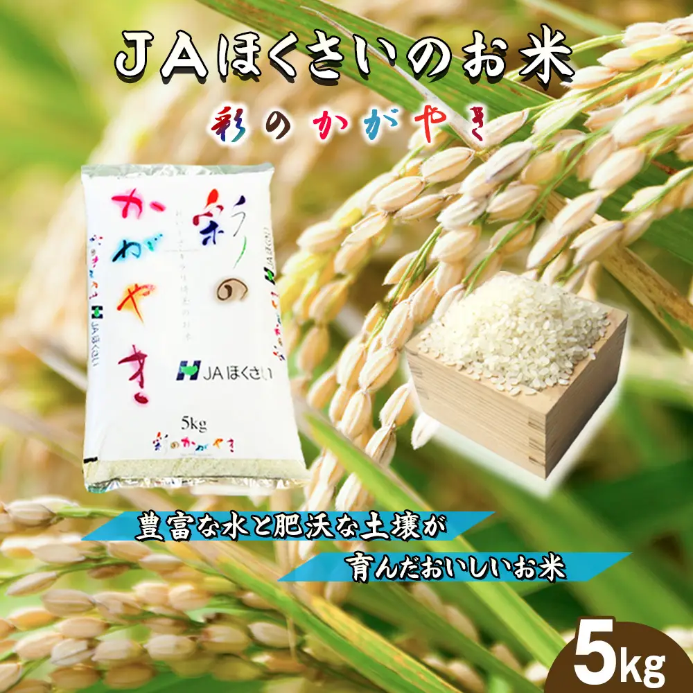 鴻巣市産「彩のかがやき」5kg ／ 令和8年産 2026年産 米 精米 お米 5キロ ご飯 ブランド米 美味しい さっぱり 甘み 埼玉県 No.568