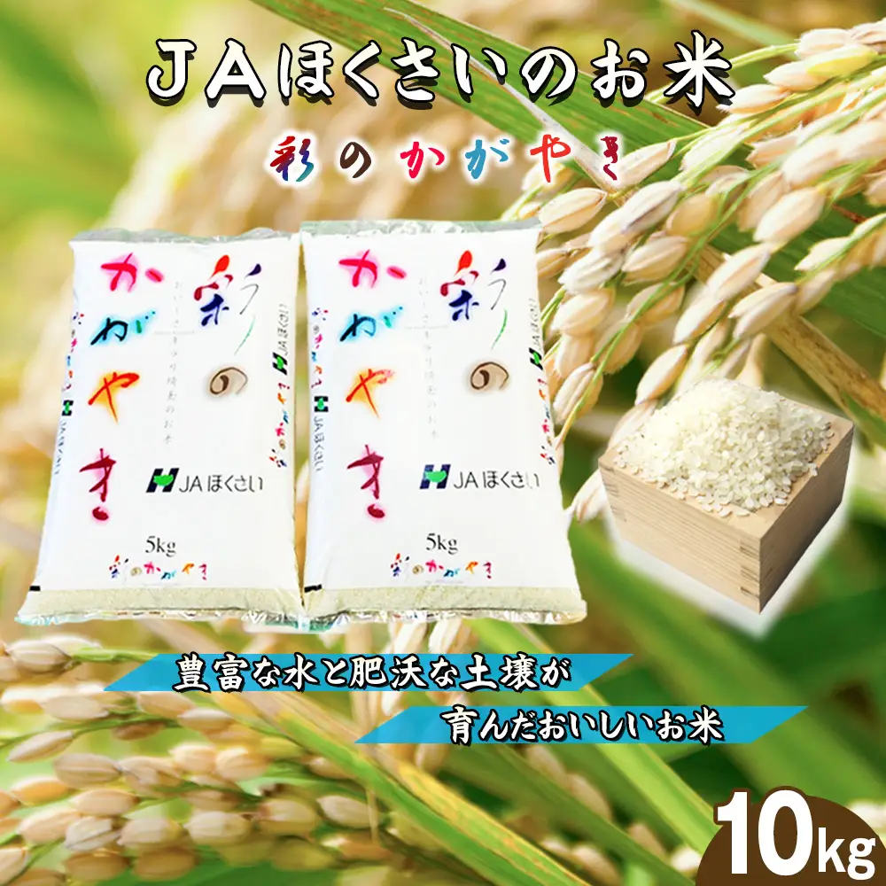 鴻巣市産「彩のかがやき」5kg×2（10kg） ／ 令和8年産 2026年産 米 精米 お米 10キロ ご飯 ブランド米 美味しい さっぱり 甘み 埼玉県 No.571