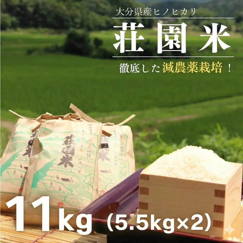 荘園米 玄米 11kg（5.5kg×2袋）　ヒノヒカリ（精米後約 5.5kg×2袋） | 豊後高田市