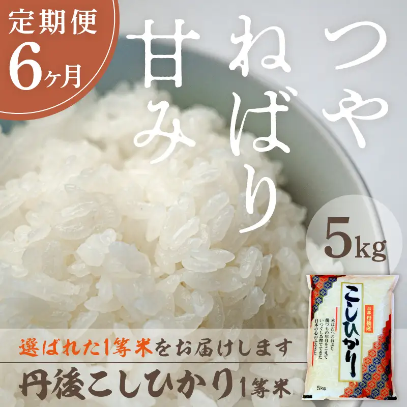 【定期便6回】令和8年産 丹後こしひかり 5kg×6ヵ月 1等米　お米 コメ こめ 丹後 コシヒカリ 精米 ふるさと 納税 コシヒカリ 精米 ふるさと 納税 こしひかり 精米 ふるさと 納税 米