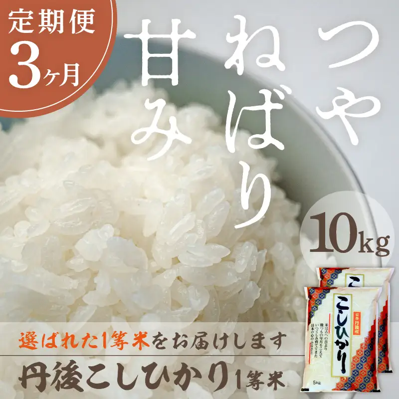 【定期便3回】令和8年産 丹後こしひかり 10kg×3ヵ月 1等米　お米 コメ こめ 丹後 コシヒカリ 精米 ふるさと 納税 コシヒカリ 精米 ふるさと 納税 こしひかり 精米 ふるさと 納税 米