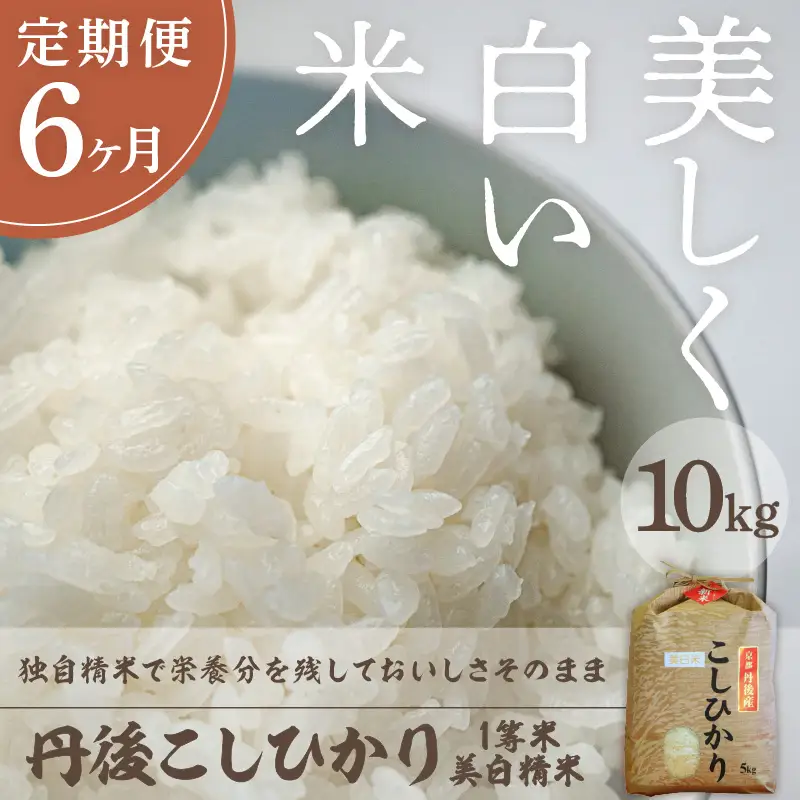 【定期便6回】令和8年産 美白精米 丹後こしひかり 10kg×6ヵ月 1等米
