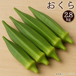 オクラ　約2.8kg