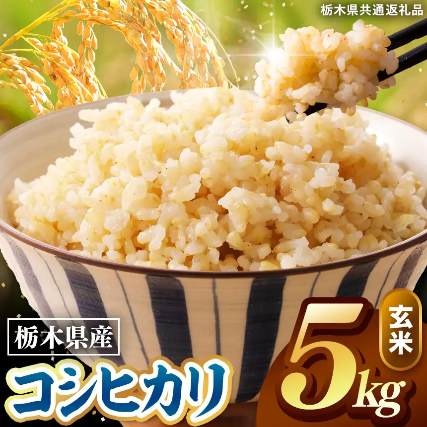 令和8年度産 先行予約 こしひかり 玄米 約5kg