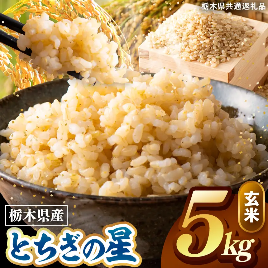 令和8年度産 先行予約 とちぎの星 玄米 約5kg