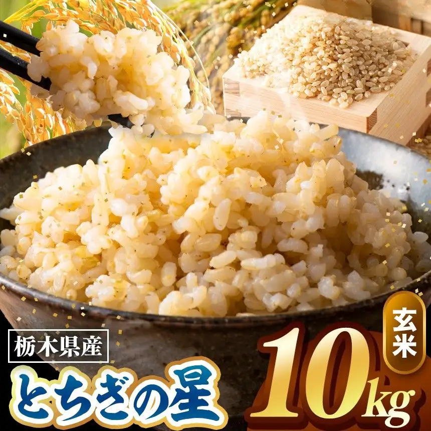 令和8年度産 先行予約 とちぎの星 玄米 約10kg
