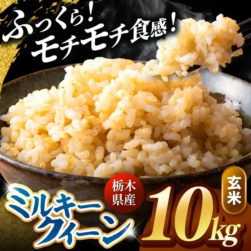 令和8年度産 先行予約 ミルキークイーン 玄米 約10kg
