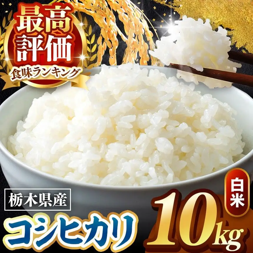令和8年度産 先行予約 こしひかり 白米 10kg